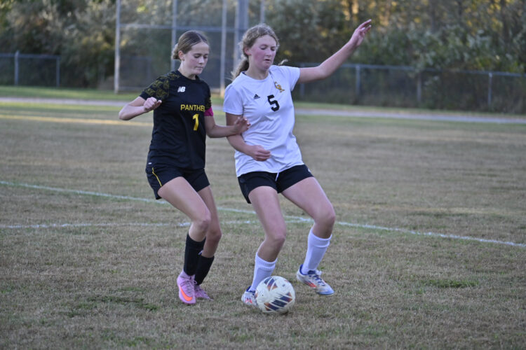 Bristol continues unbeaten season with 5-0 win over Crestview in sectional